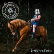 STEVE'N'SEAGULLS - Brothers In Farms CD