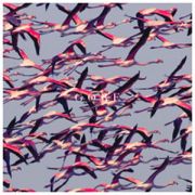 DEFTONES - Gore CD