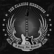 FLAMING SIDEBURNS - A Song For Robert 7" UUSI Chaputa Records