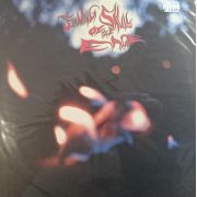 FLAMING SKULL OF THE EAGLE - Flaming Skull Of The Eagle LP UUSI omakustanne