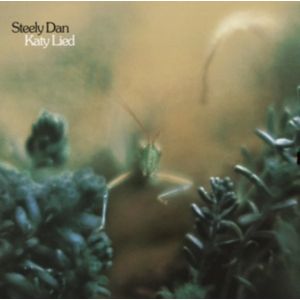 STEELY DAN - Kathy lied LP