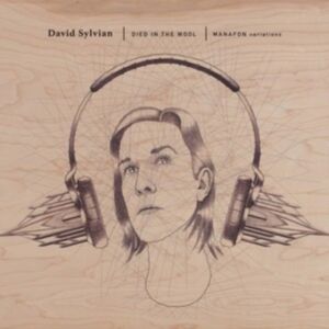 David Sylvian - Died in the Wool 2LP