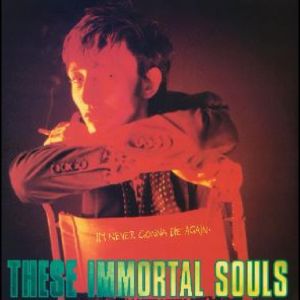 These Immortal Souls - I’m Never Gonna Die Again CD